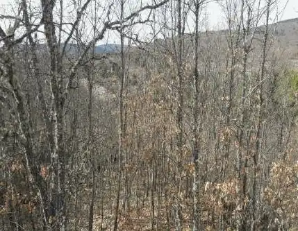 Terreno en venta en El Royo  