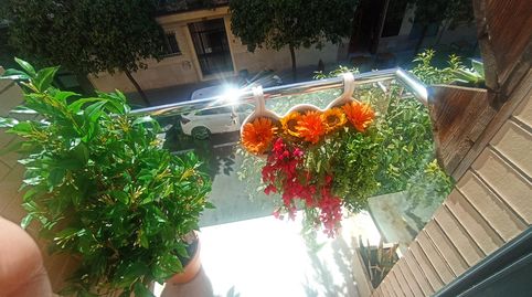 Foto 2 de Pis en venda a La Buhaira, Sevilla Capital