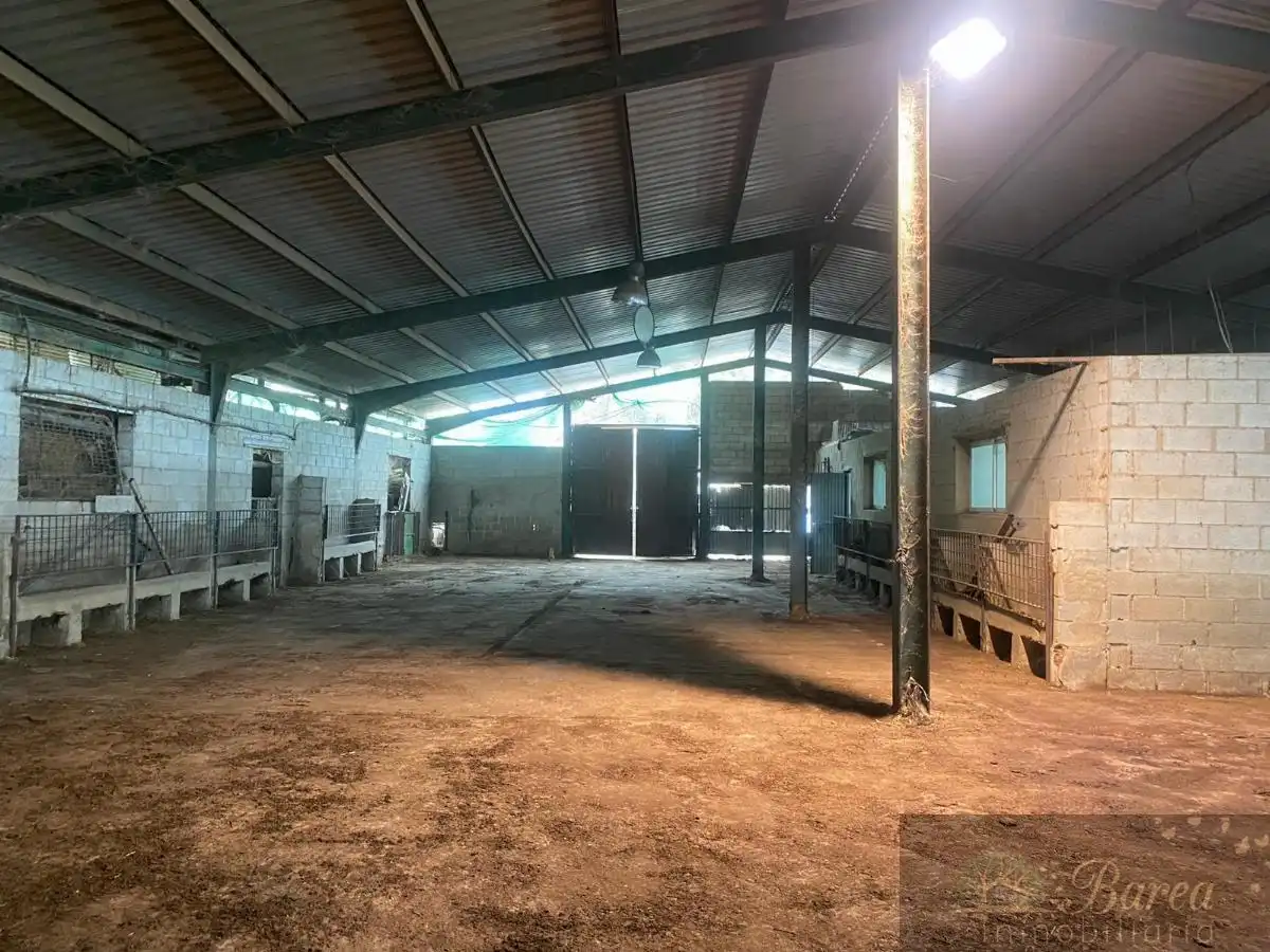 Nave industrial en venta en Rute