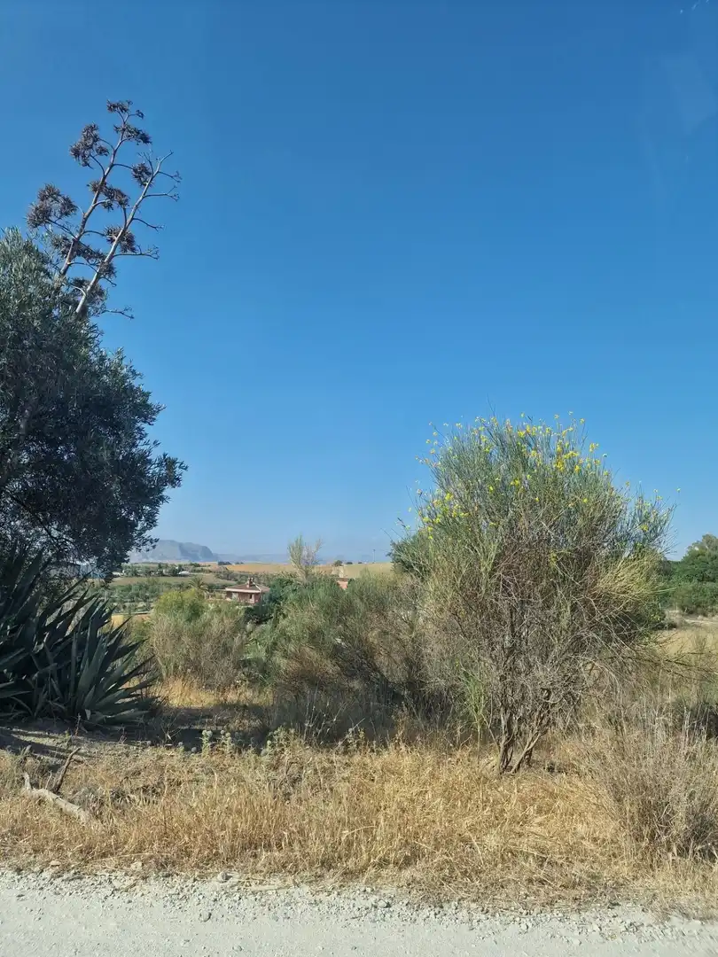 Terreni e lotti in vendita a Coín, imagen 17