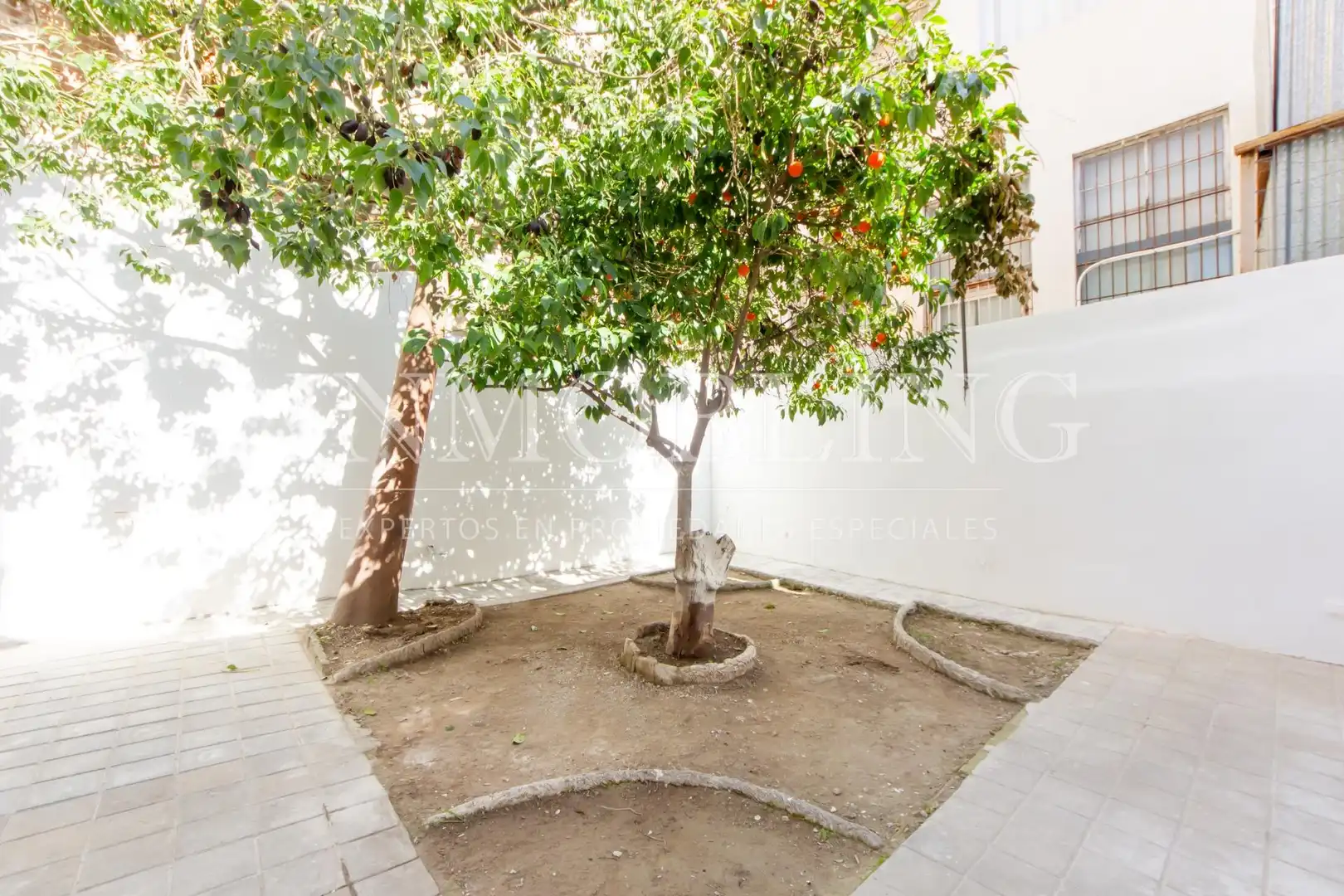 Jardín de Casa o chalet de alquiler en Mataró con Jardín privado y Terraza