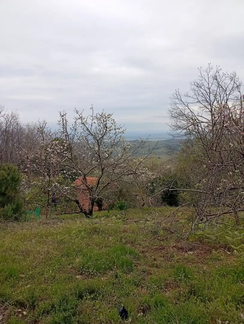 Terreni e lotti in vendita a Valverde de la Vera, imagen 37