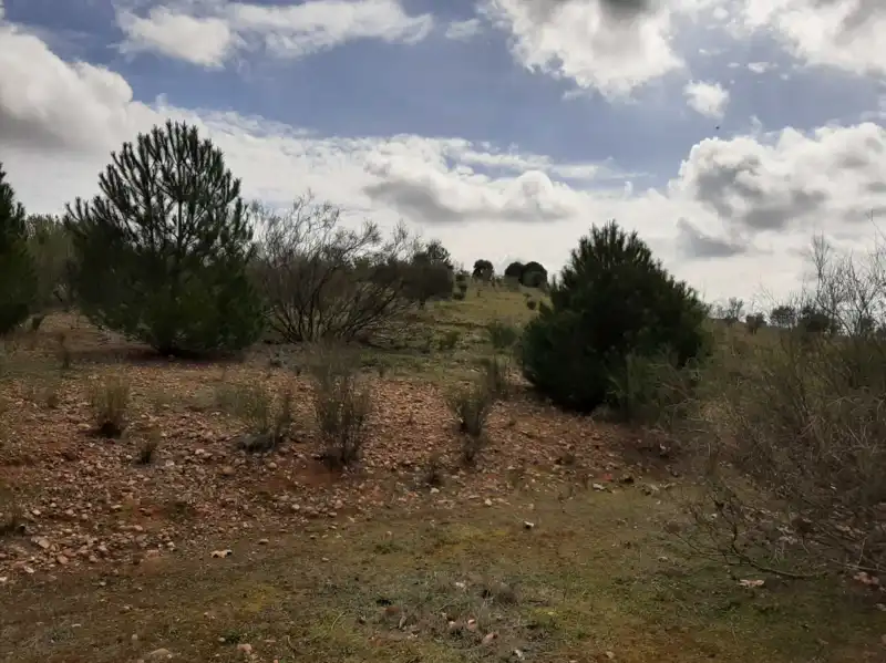 Terreni e lotti in vendita a GOLF DEL GUADIANA, imagen 9