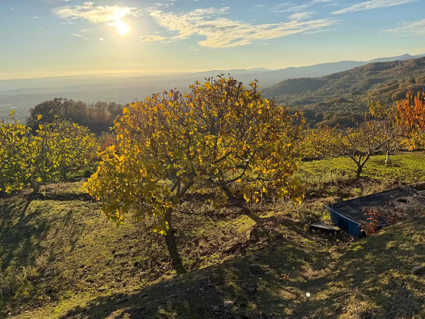 Land for sale in Arroyomolinos de la Vera