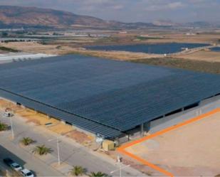 Vista exterior de Nau industrial de lloguer en Alhama de Murcia