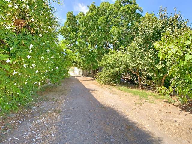 Casa-chalet en Venta en Diseminado Poligono 12, 31, 29510 Álora, Spain, -1 en Álora