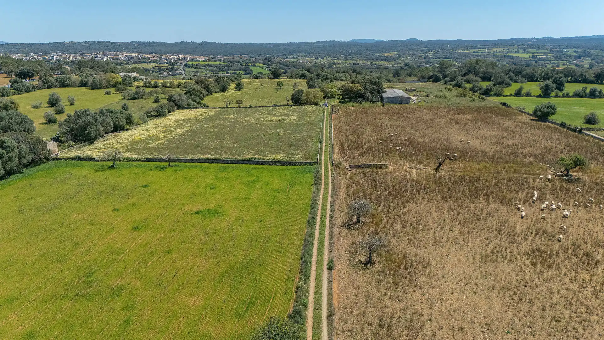 Wohnbaugrundstück zum Verkauf in Llubí, imagen 10