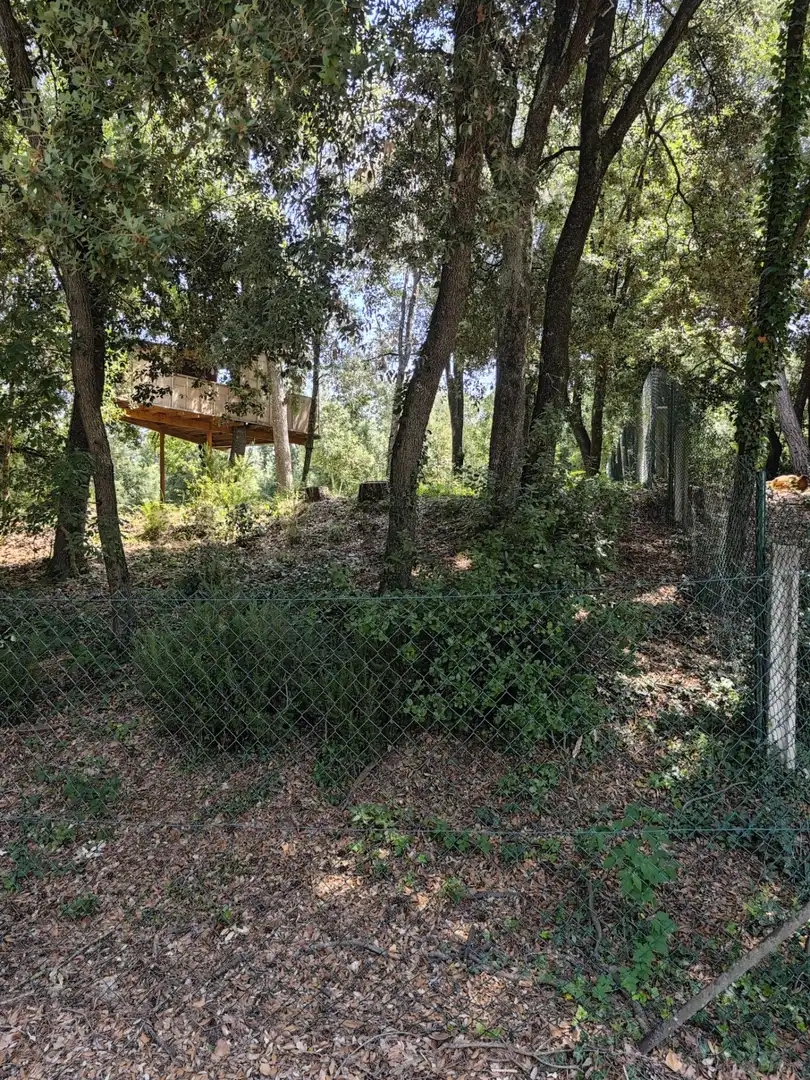 Terrenys i solars en venda a DE SALVADOR ESPRIU, imagen 61