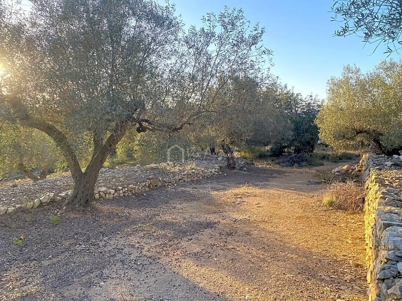 Terreno rustico in vendita a Aubach, imagen 22
