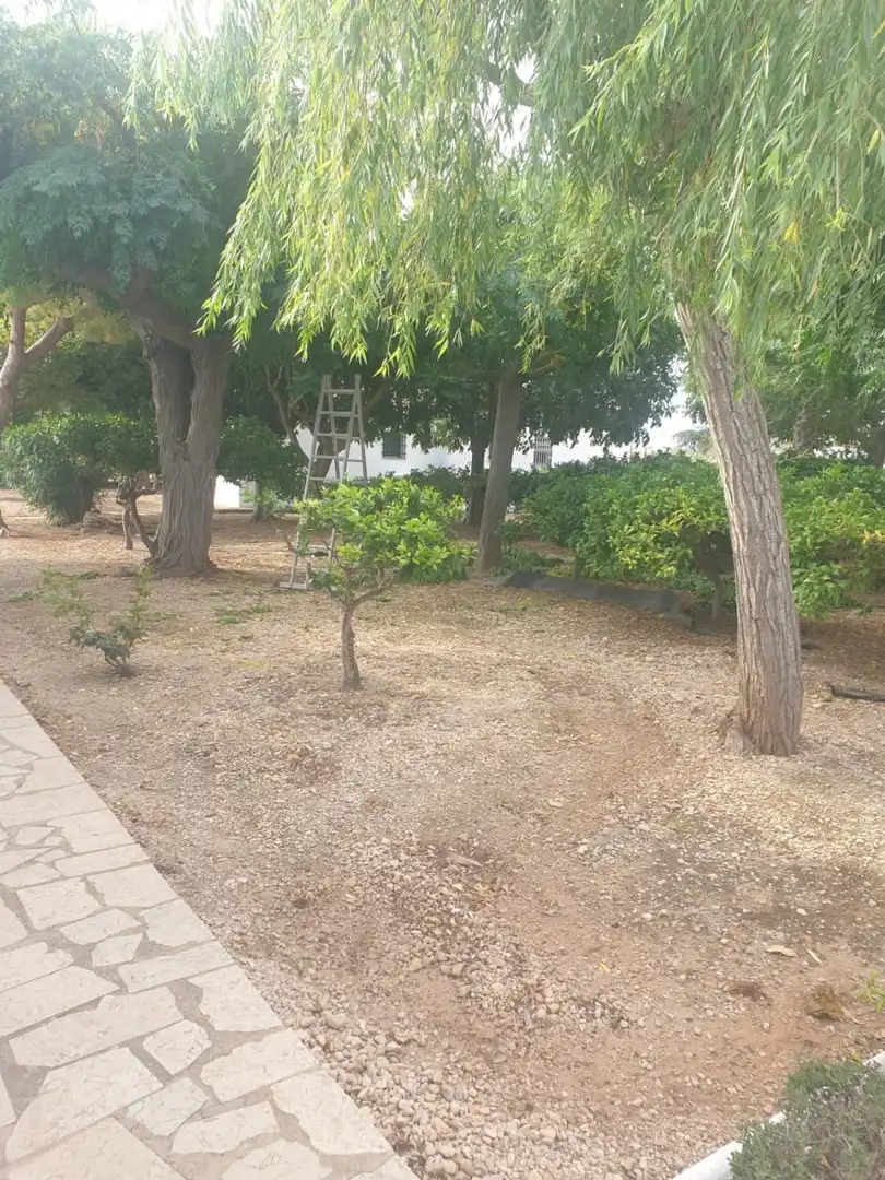 Finca rústica en venda en Vinaròs amb Jardí privat, Traster i Piscina