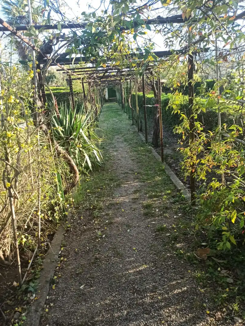 Garden of Houses for sale in Tarazona  with Heating, Private garden and Swimming Pool