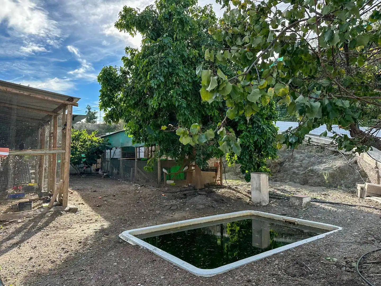 Casa rústica amb piscina en venda a Centro, imagen 21