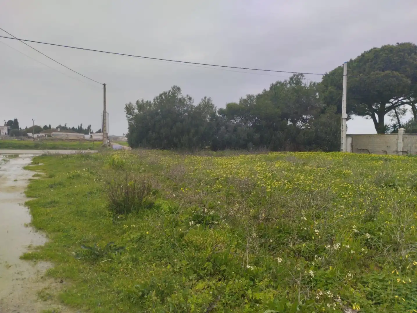 Residential land for sale in Núcleo urbano, imagen 3
