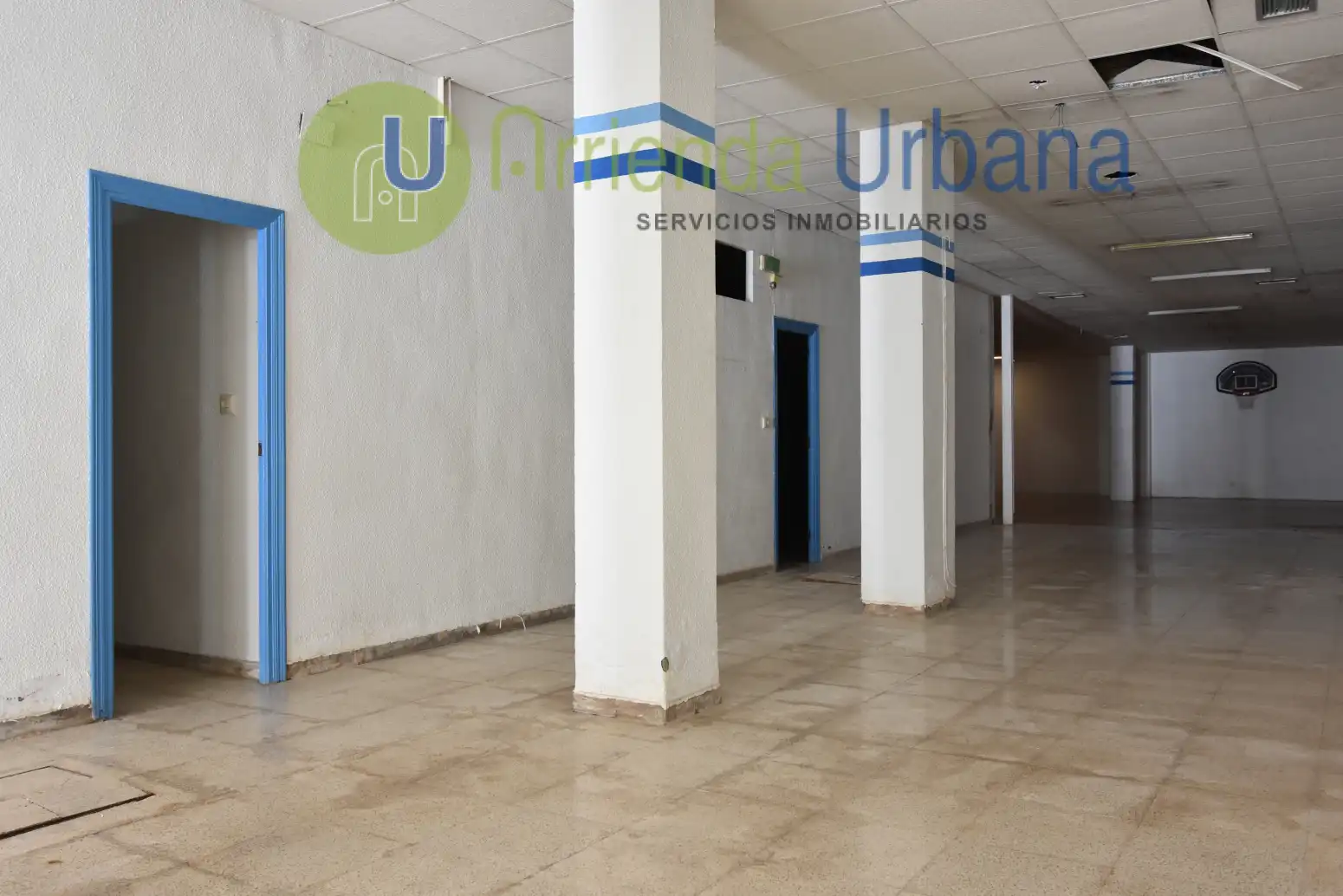 Commercial properties for sale in CL JARDINES, Centro