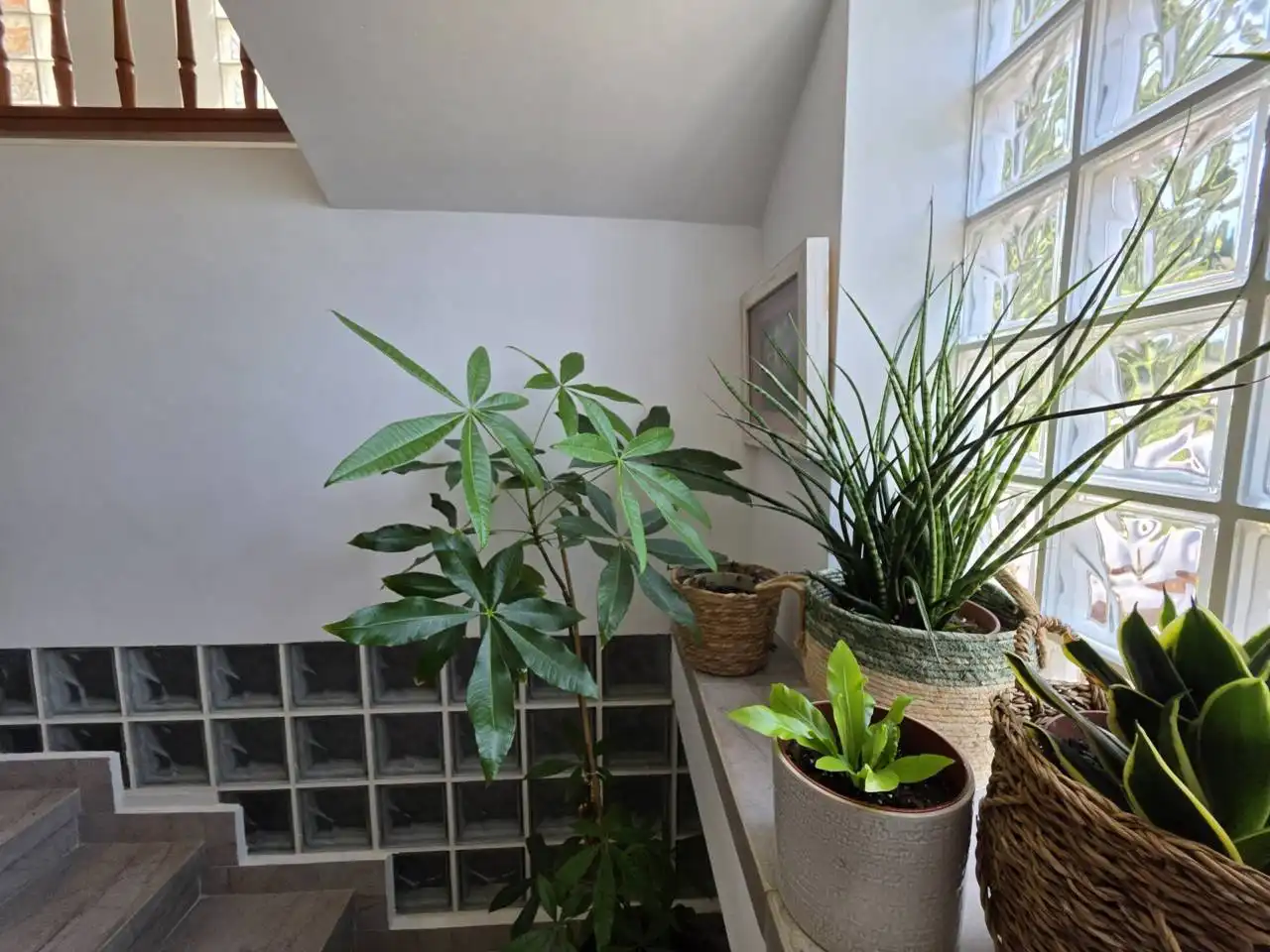 Casa o chalet en venta en Montcada i Reixac con Aire acondicionado, Calefacción y Jardín privado