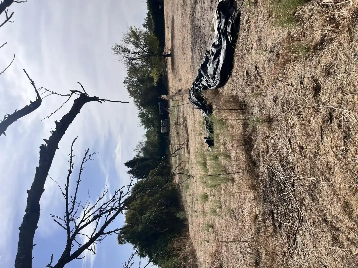 Land for sale in Pinto