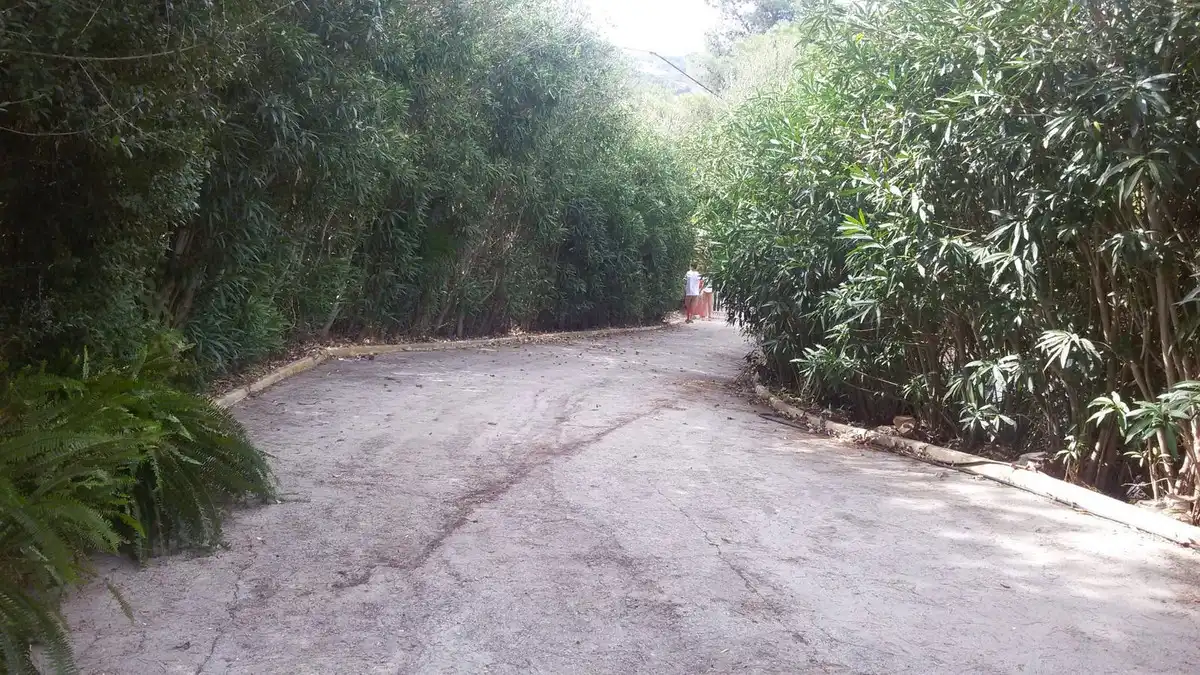 Casa o xalet en venda a San Martín del Tesorillo