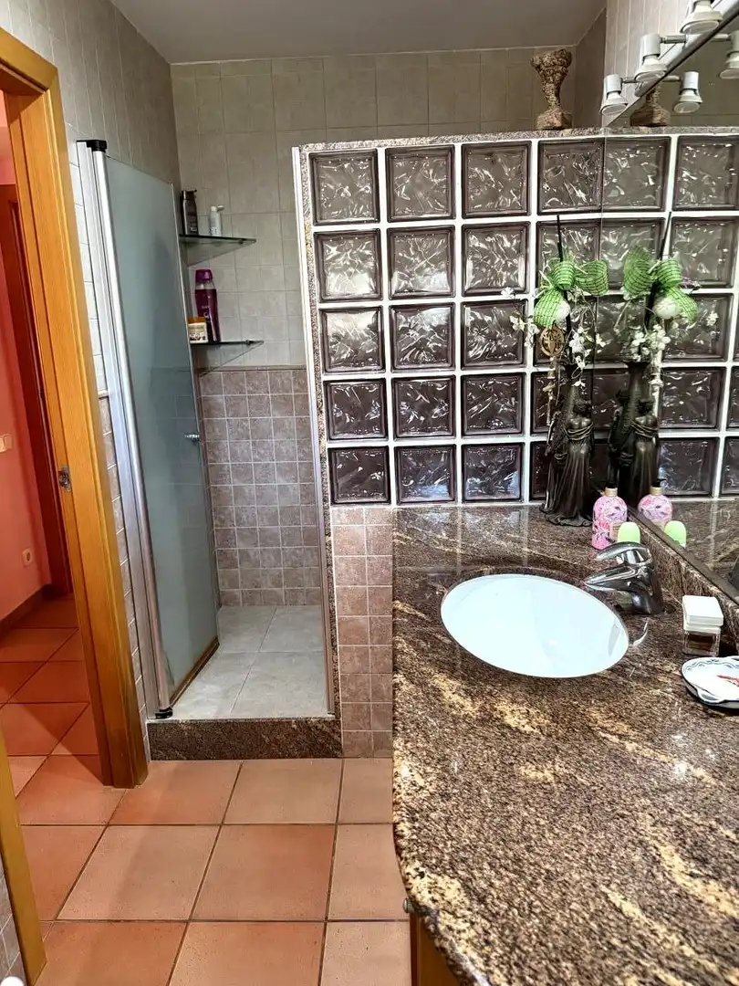 Haus mit Garten zum Verkauf in Avinguda de Castellnou, imagen 14