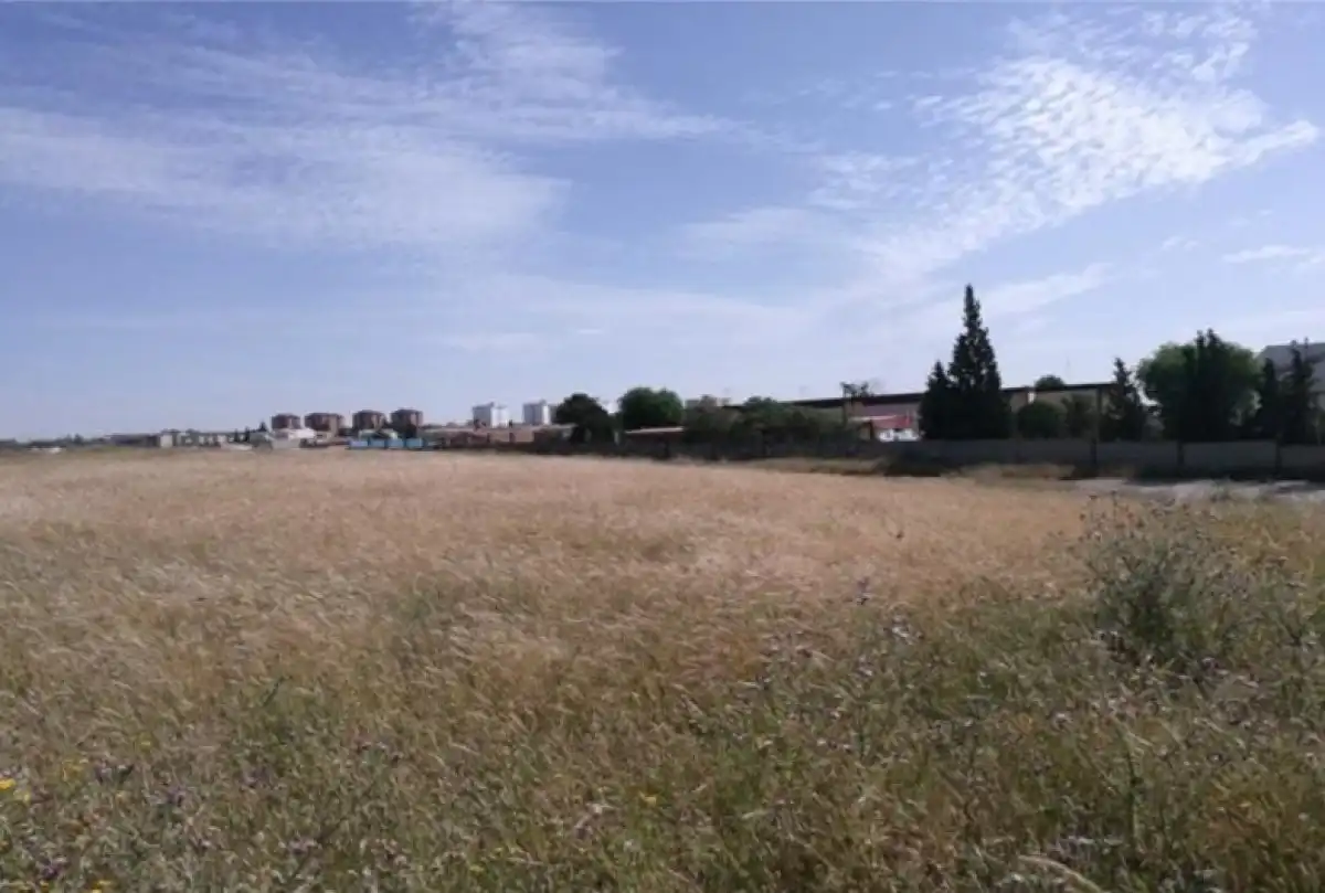 Terreni e lotti in vendita a Arrayanes, imagen 6