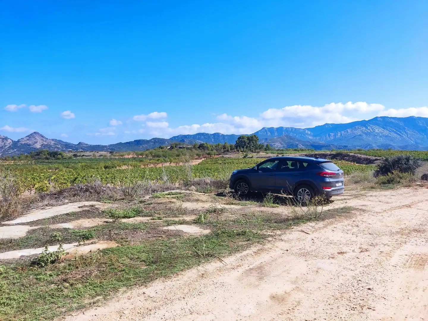 Rural land for sale in Horta de Sant Joan, imagen 5