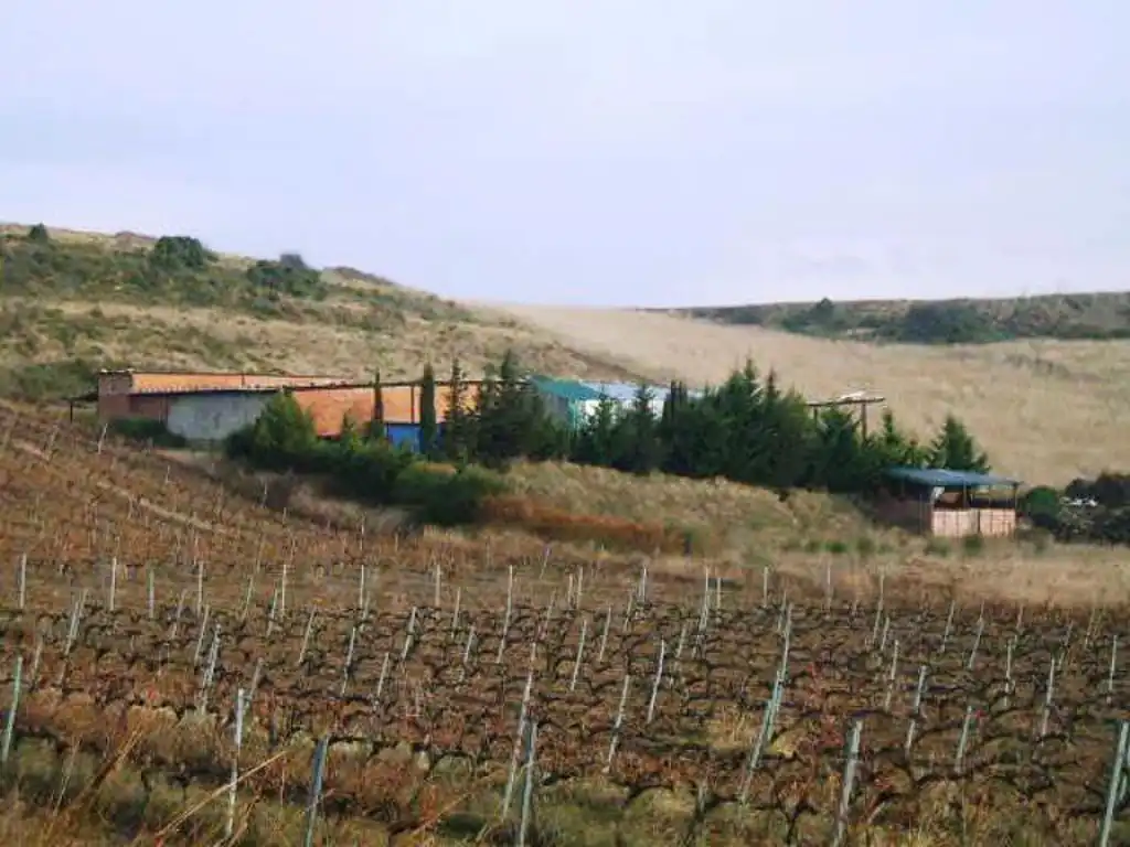 Terreny rústic en venda a Laguardia