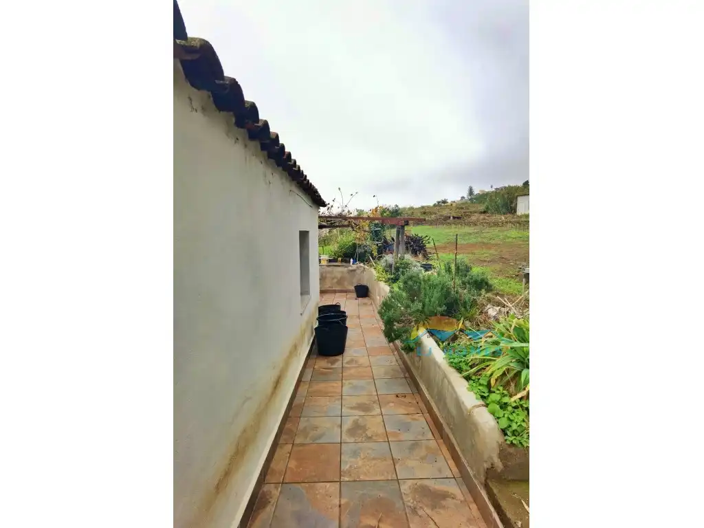 Exterior view of Houses for sale in La Orotava