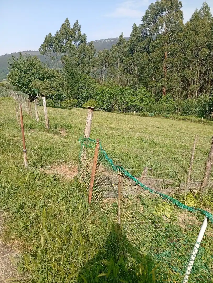 House for sale in Riotorto, imagen 18