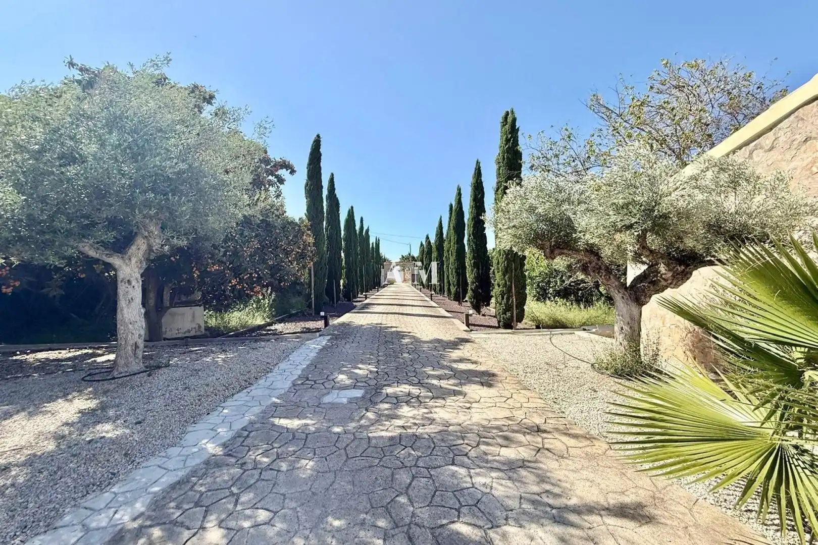 Vista exterior de Casa o chalet de alquiler en San Miguel de Salinas con Aire acondicionado, Calefacción y Jardín privado