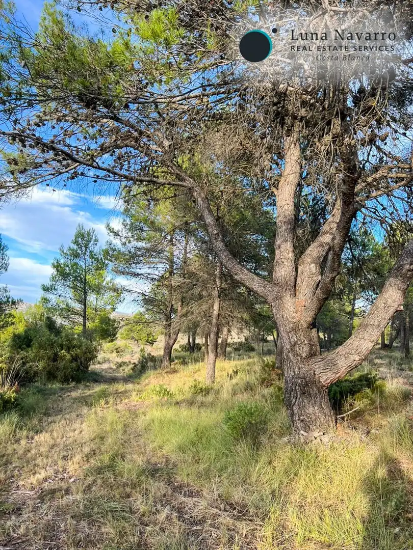 Terreno en venta en Calle San Antonio, 50, Confrides