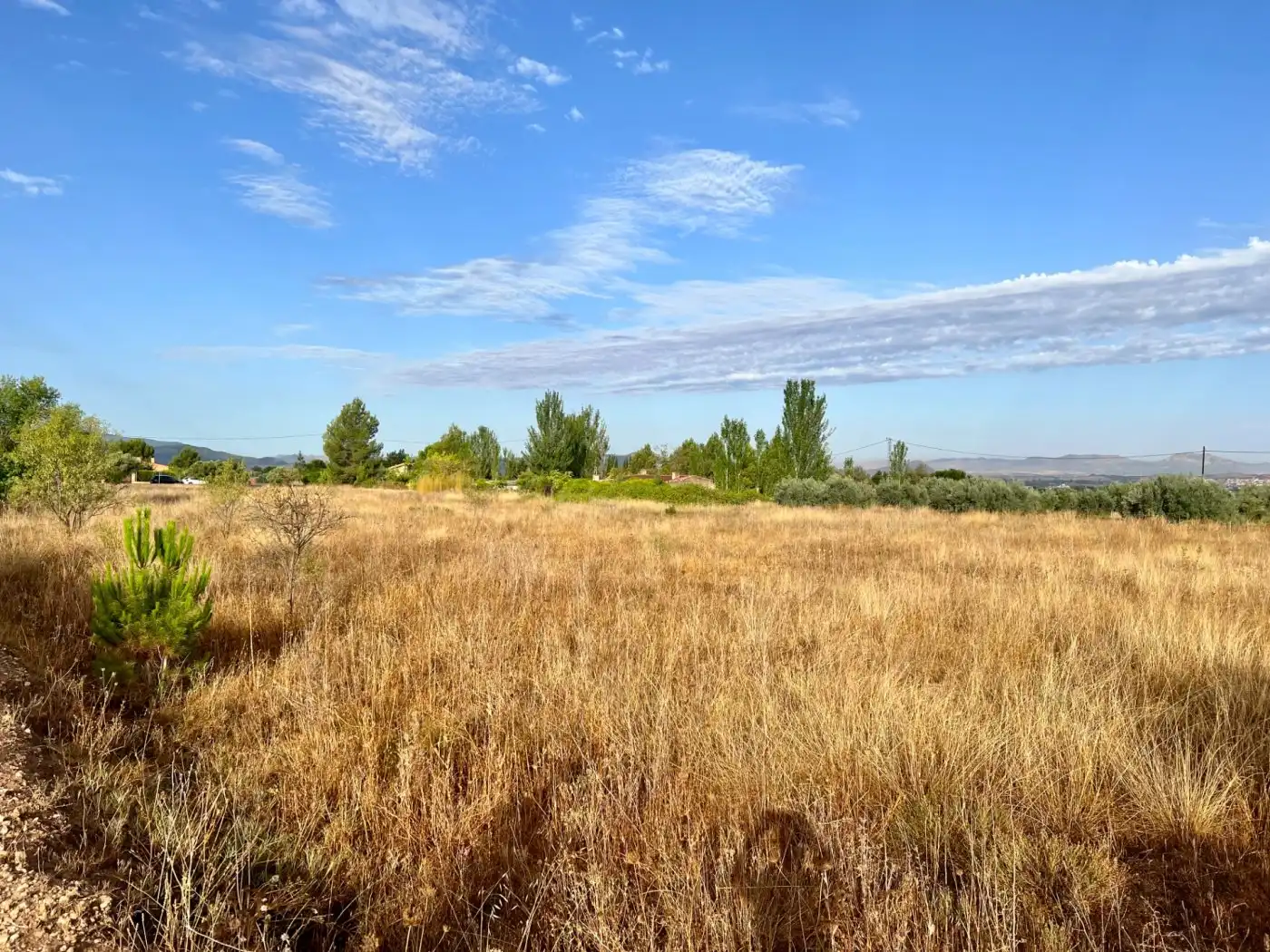 Residential land for sale in Las Tiesas, imagen 9