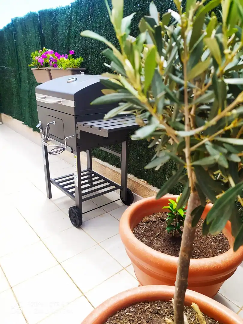 Terrassa de Àtic de lloguer en Las Palmas de Gran Canaria amb Terrassa i Moblat