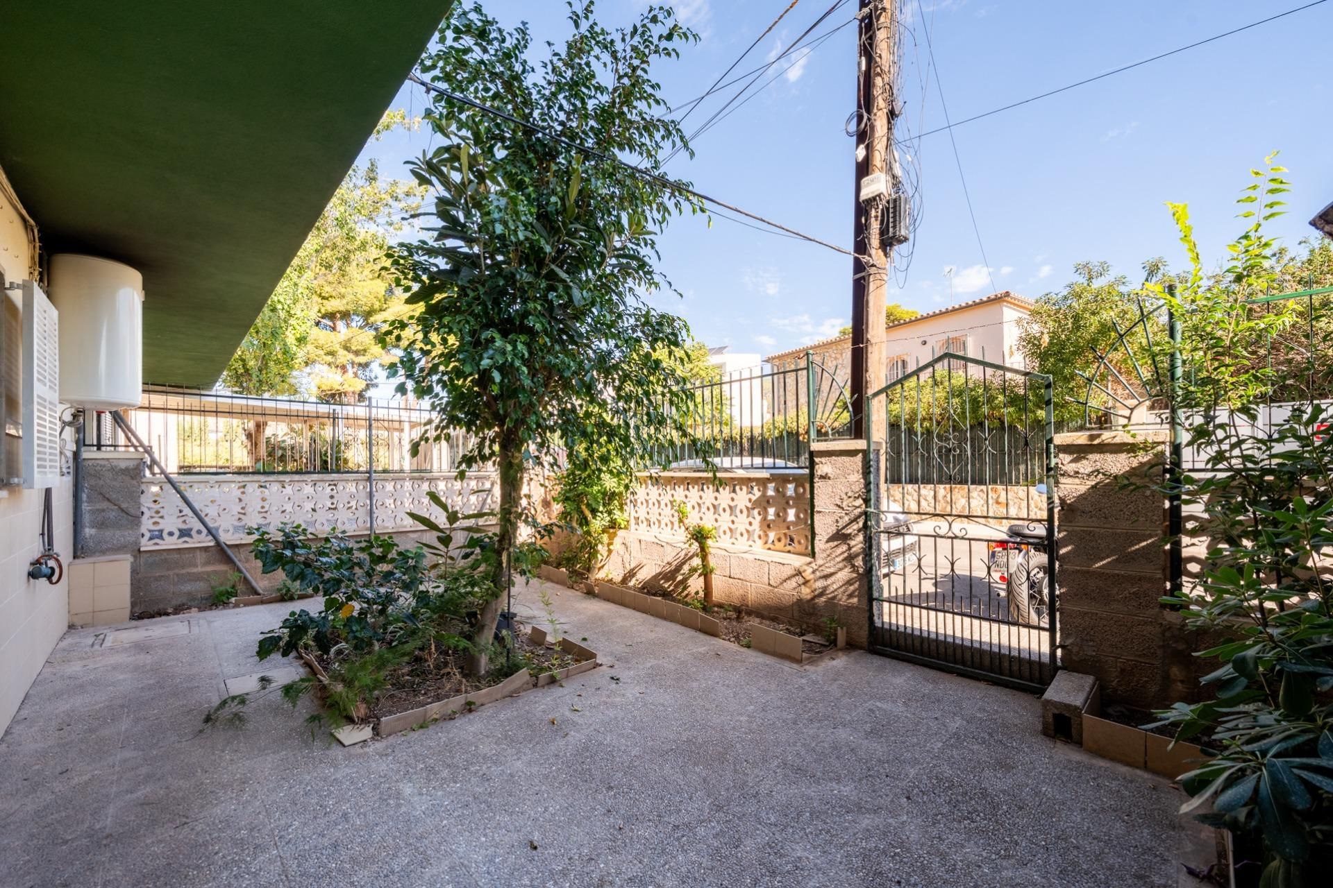 Exterior view of Planta baja for sale in Calvià  with Terrace
