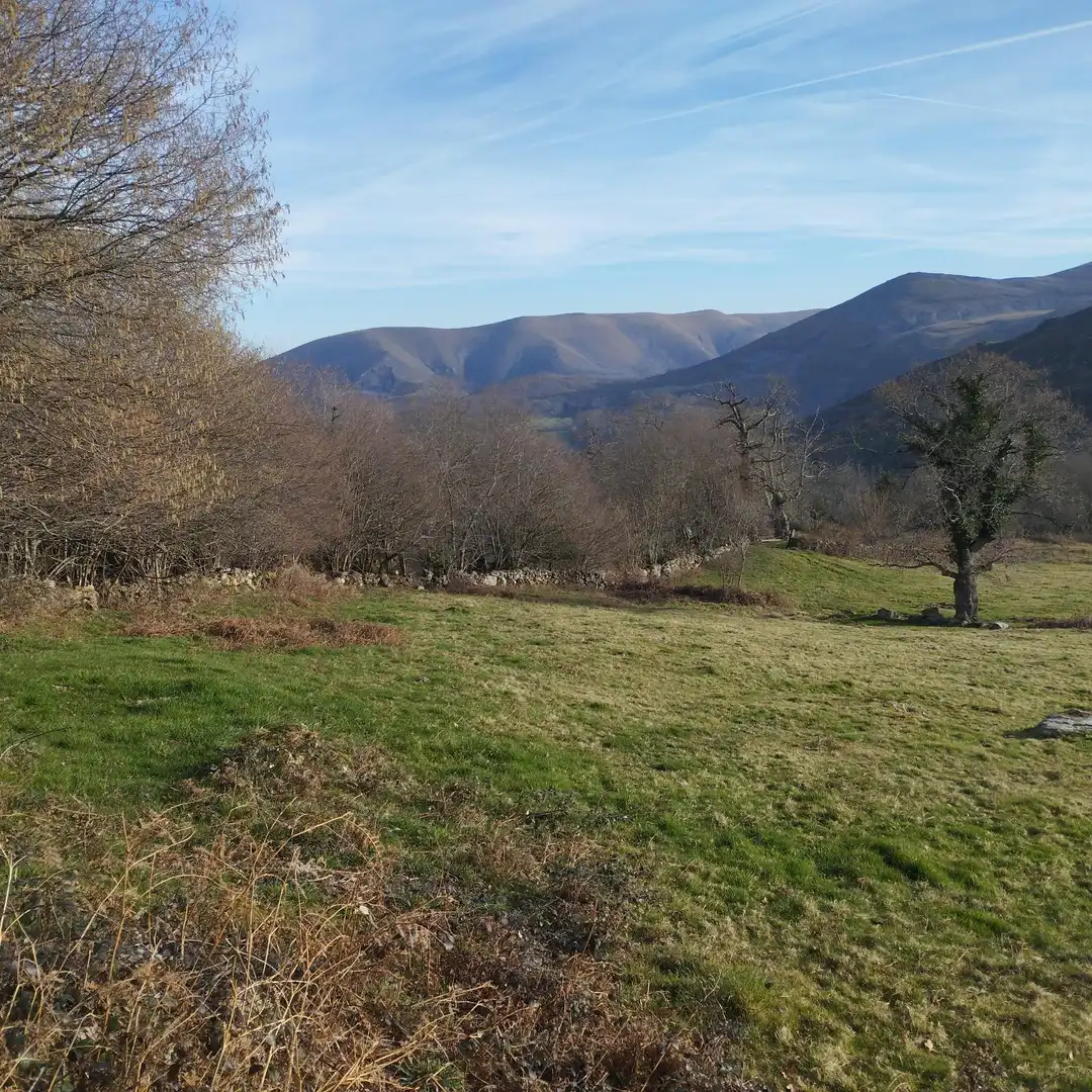 Villa mit Garten zum Verkauf in Poblado Fresneda 25, imagen 21