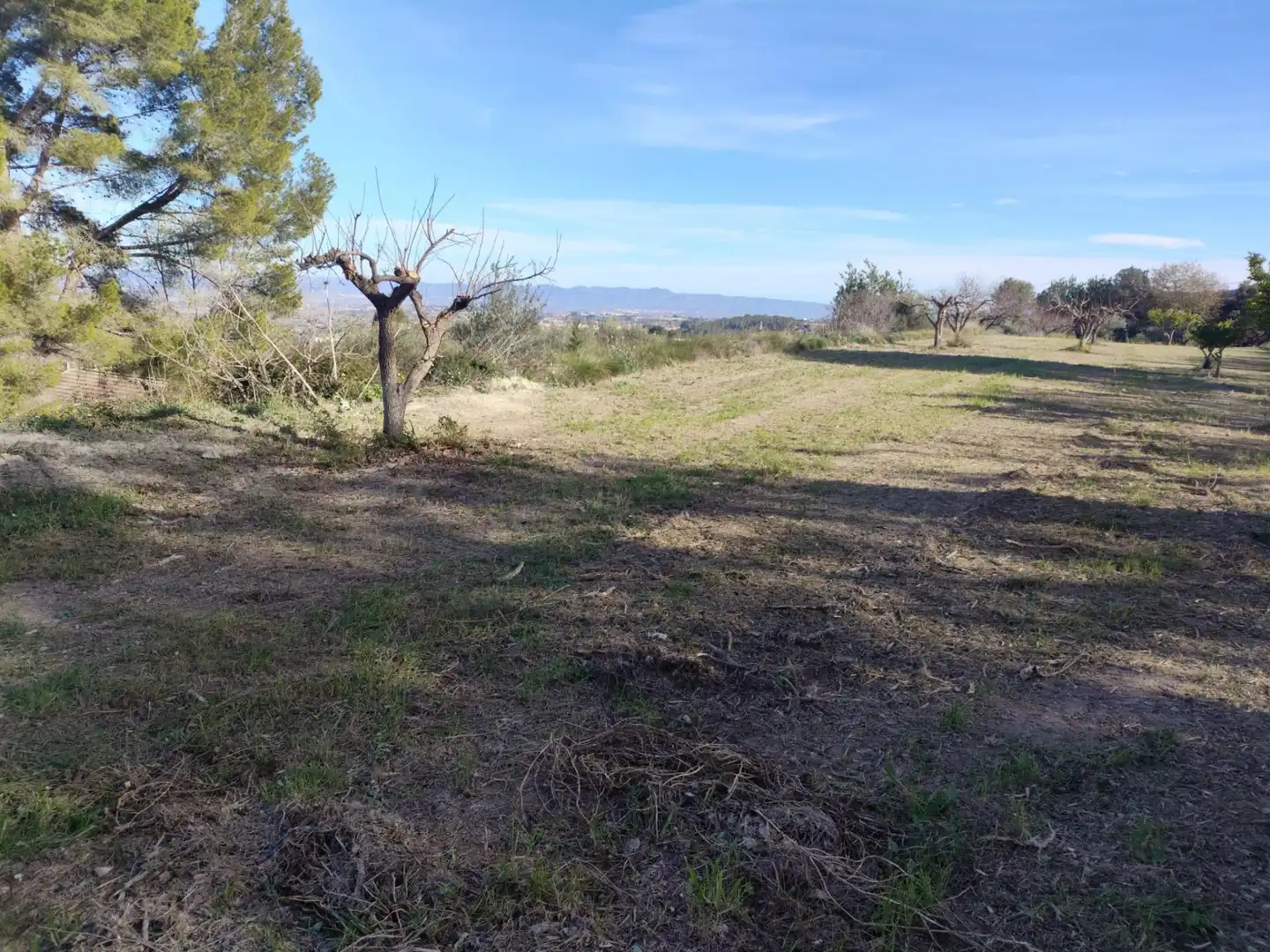 Terreno residenziale in vendita a Agullent, imagen 11