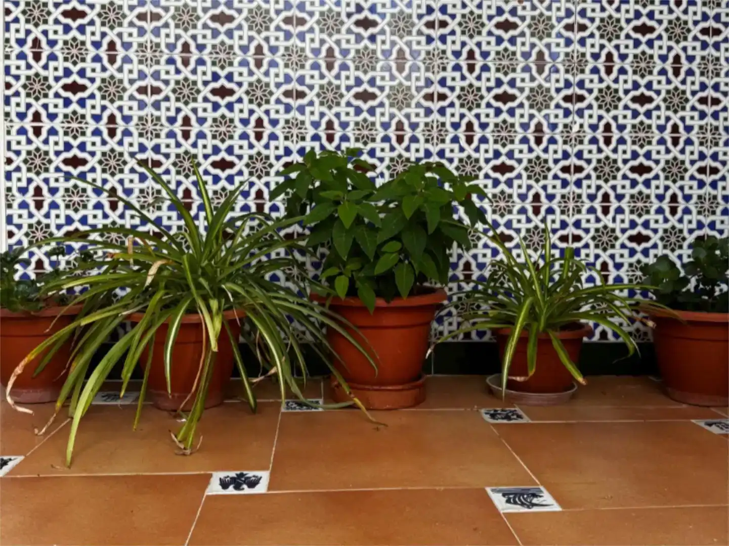 Jardí de Pis en venda en Jimena de la Frontera amb Aire condicionat, Traster i Moblat