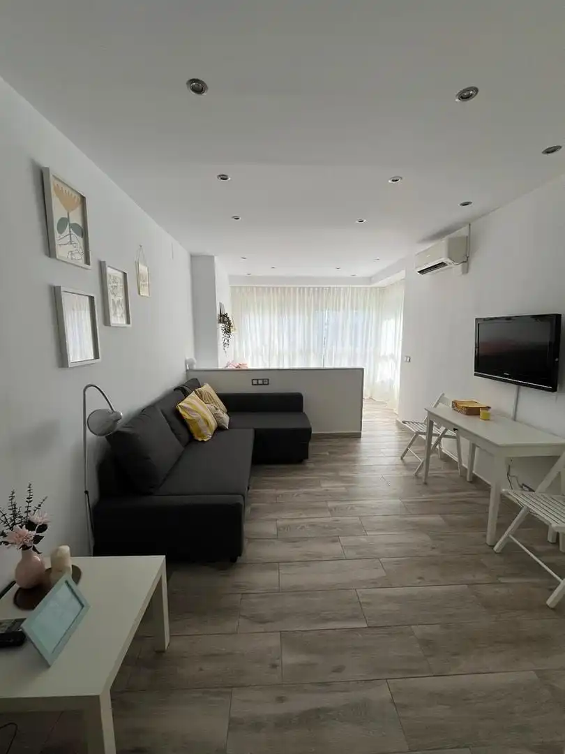 Living room of Study for rent in Torremolinos  with Air Conditioner, Heating and Furnished