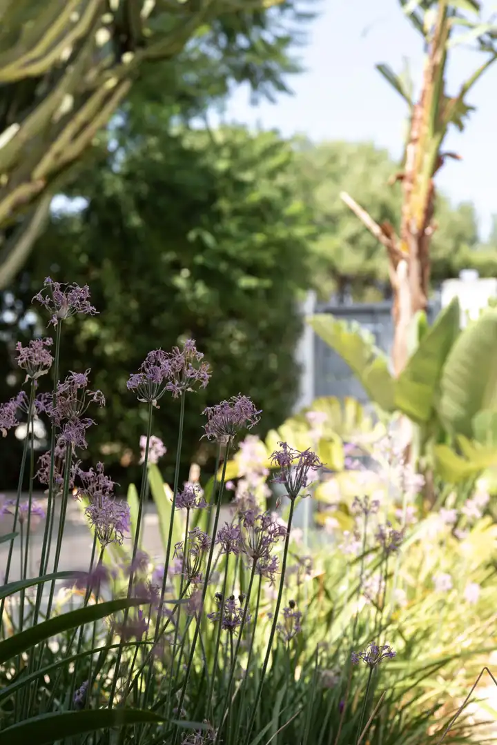 Garten von Haus oder Chalet zum Verkauf in Llucmajor mit Terrasse und Möbliert