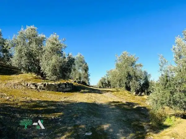 Terrenos y solares en venta en Úbeda, imagen 6