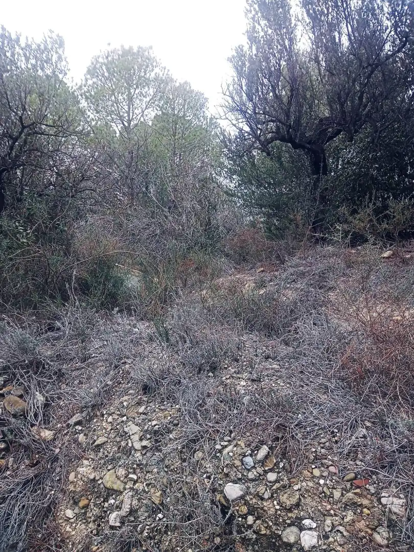Land for sale in Olesa de Montserrat