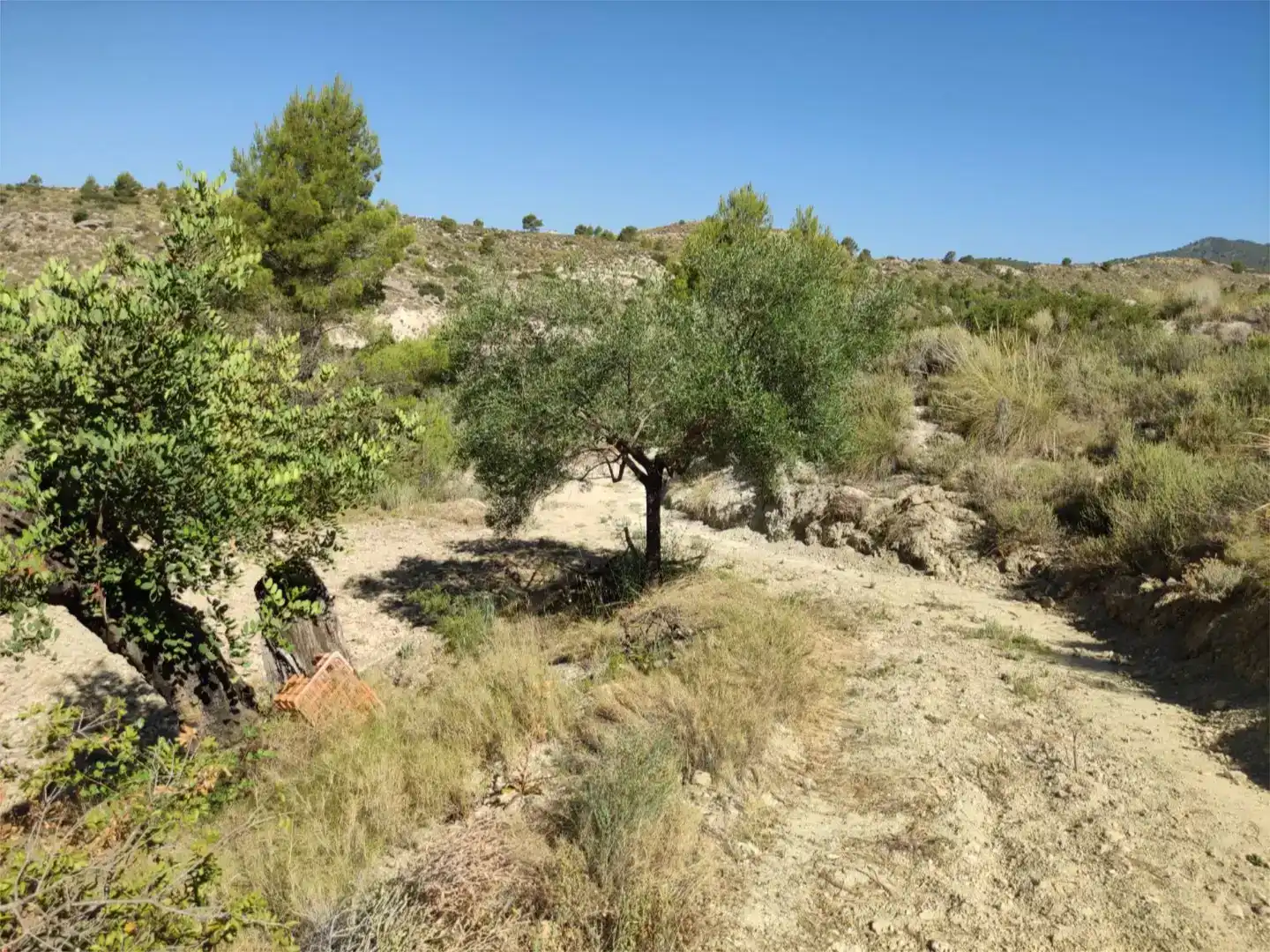 Terreno en venta en Busot
