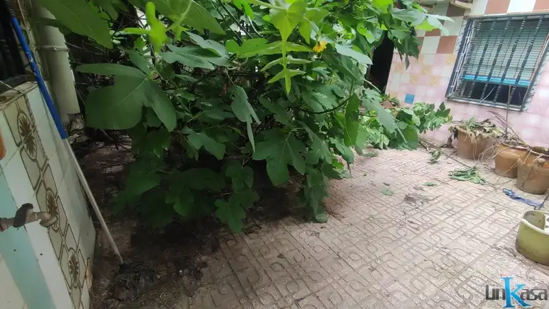 Casa o xalet en venda en Linares amb Terrassa
