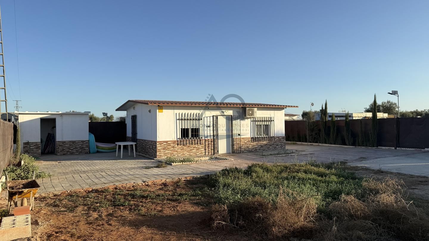 Vista exterior de Finca rústica en venda en Dos Hermanas