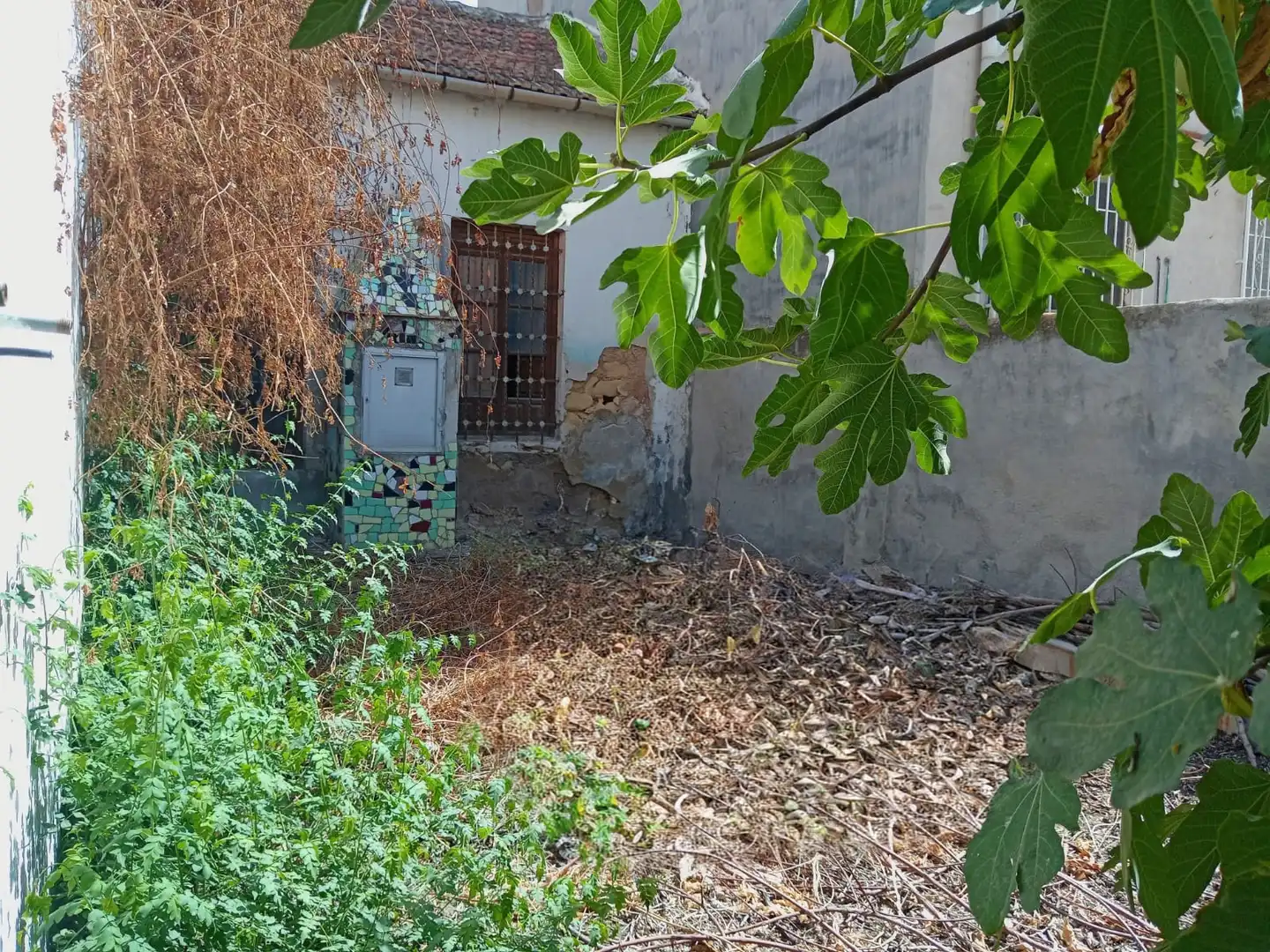 House with garden for sale in Pedanías Oeste, imagen 10
