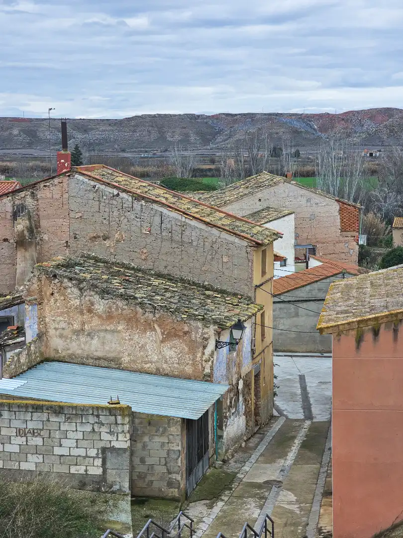 Exterior view of Houses for sale in Velilla de Ebro  with Terrace