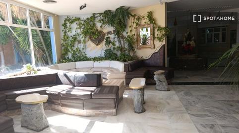 Photo 5 of Study to share in Golf del Sur - Amarilla Golf, San Miguel de Abona