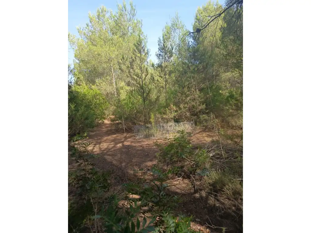 Terreno rustico in vendita a Diseminados Sector 4.5 Santa Agnes, imagen 2