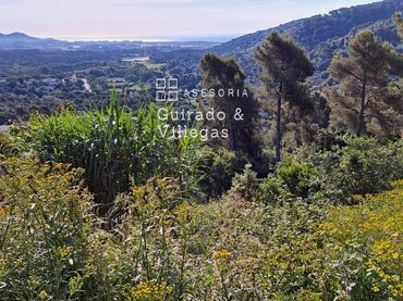 Terreny residencial en venda a Calle Cedres