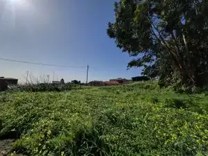 Finca rústica en venta en El Rosario con Jardín privado, Terraza y Trastero