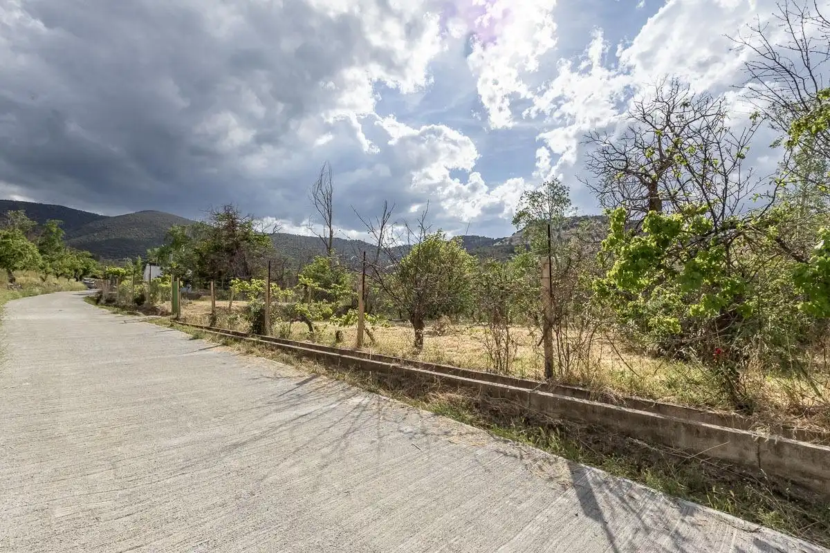 Finca rústica en venta en Dólar con Terraza