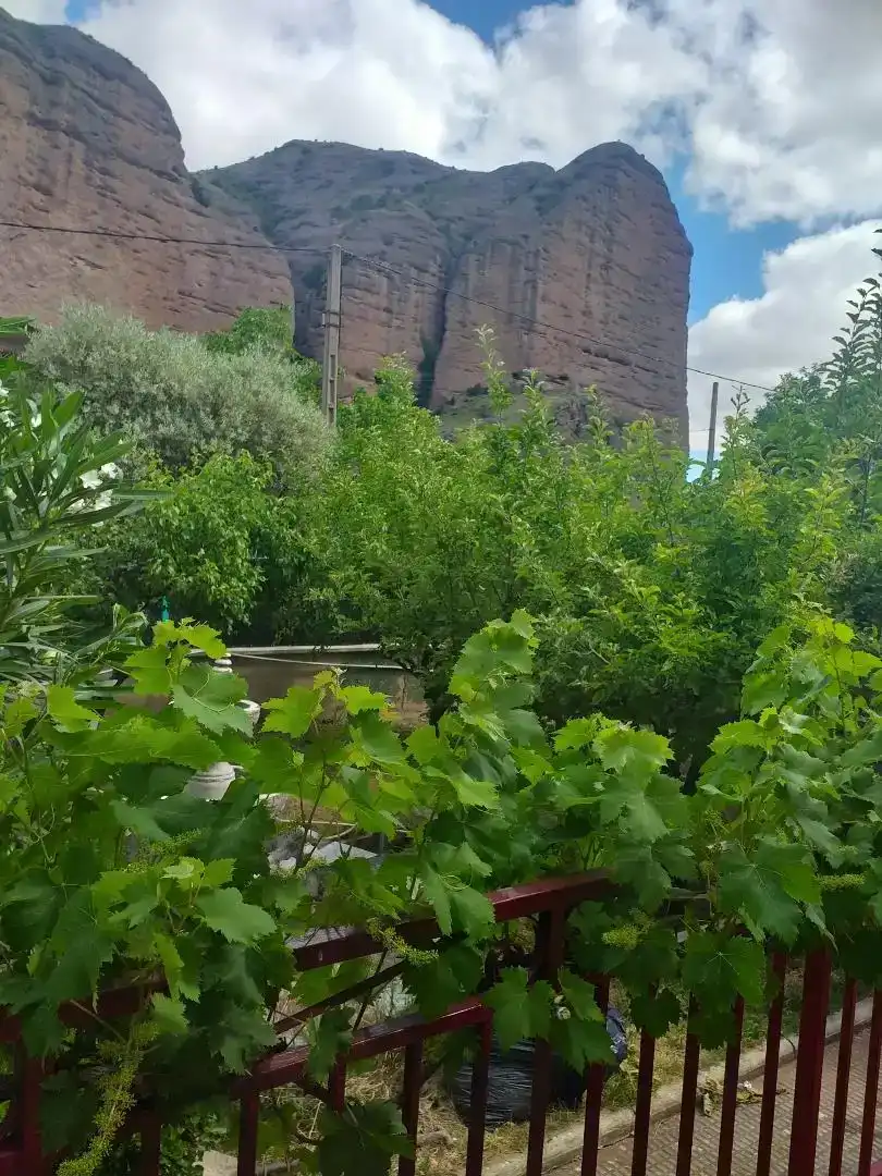 Jardí de Casa o xalet en venda en Viguera amb Piscina i Balcó